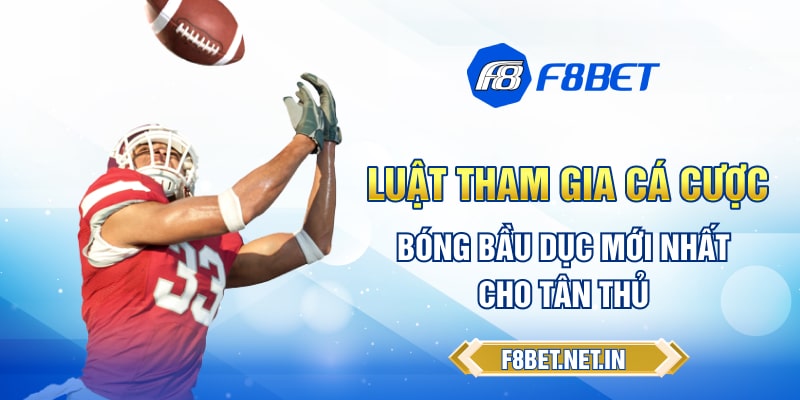 Luật tham gia cá cược bóng bầu dục mới nhất cho tân thủ 